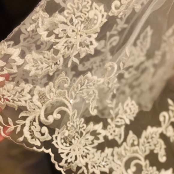 David bridal wedding dress size 12 - Picture 5 of 11